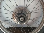 IMG_20220429_163256-1024