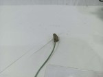 IMG_20220613_113627-1024