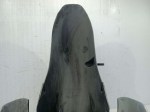 IMG_20220708_103849-1024