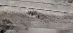 IMG_20220920_155536-1024