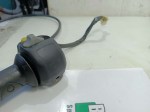 IMG_20221117_113031-1024