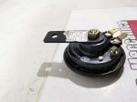IMG_20230308_181647-1024