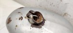 IMG_20231206_155300-1024