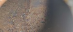 IMG_20231206_155327-1024