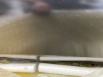 IMG_2481-102486