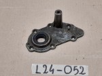 L24-052 image