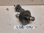 L58-010 image