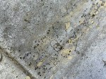 R2024-0005719 image
