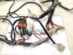 beb-102399 image
