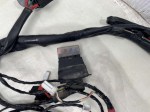 beb-103695 image