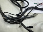 beb-103783 image