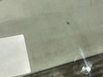 beb-106503 image