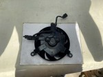 beb-106873 image