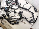 beb-107064 image