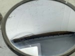 beb-107441 image