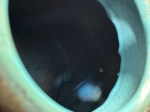 beb-107525 image