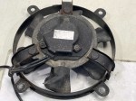 beb-107667 image