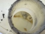 beb-108819 image