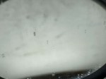 beb-108935 image