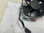 beb-109855 image