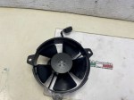 beb-110231 image