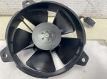 beb-110231 image