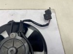 beb-110231 image