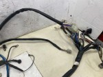 beb-110361 image