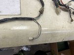 beb-110454 image
