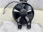 beb-110812 image