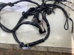 beb-110815 image