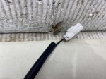 beb-110816 image