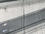 beb-111104 image