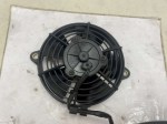 beb-111299 image