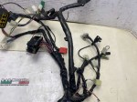 beb-111504 image