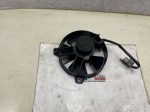 beb-111507 image