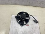 beb-111507 image