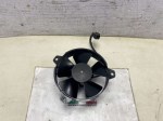 beb-111507 image