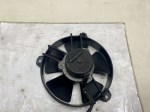 beb-111507 image