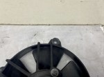 beb-111507 image