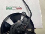 beb-112281 image