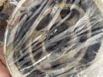 beb-112424 image