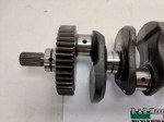 beb-113176 image