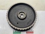 beb-113431 image