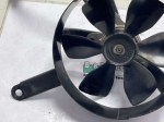 beb-113996 image