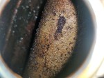 beb-114804 image