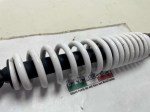 beb-115119 image