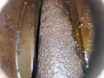 beb-115248 image