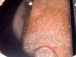 beb-115401 image