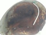 beb-143558 image